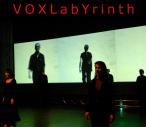 VOXLabYrinth | 2007/2008