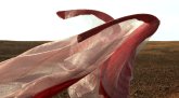 Red_Dragon_4a